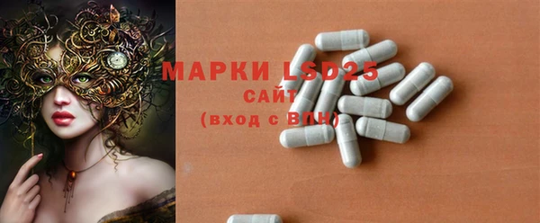 соль ск Богданович