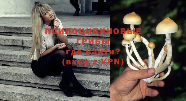 дмт Богородицк