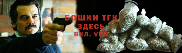 дмт Богородицк