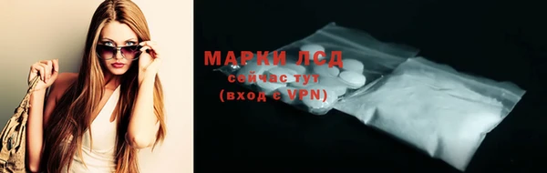 соль ск Богданович