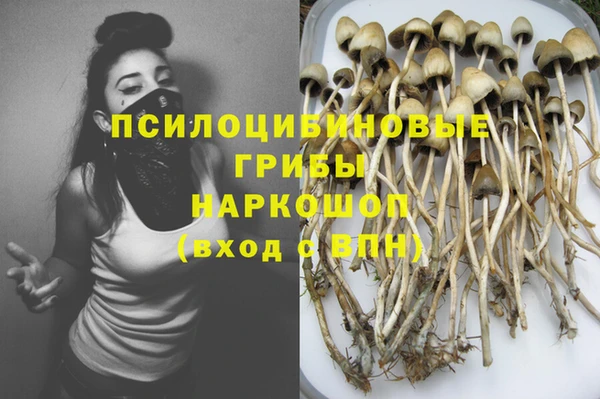 соль ск Богданович