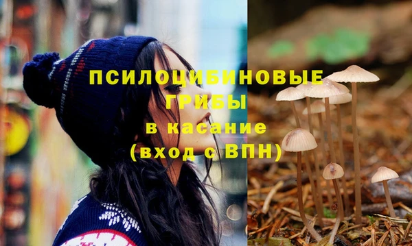 соль ск Богданович