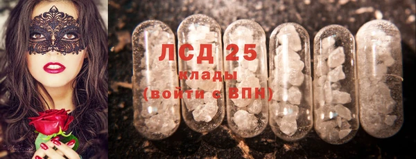 дмт Богородицк