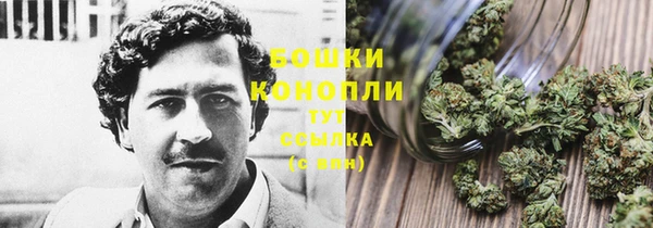 дмт Богородицк
