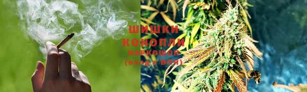 прущая мука Богородск