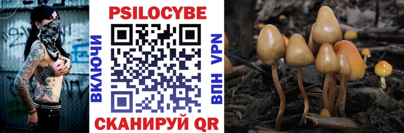 Купить  Лесной  Галлюциногенные грибы прущие грибы 